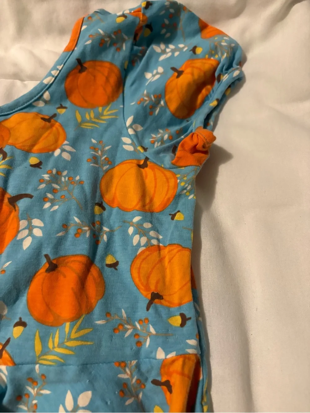 Eleanor Rose Blue Pumpkin Print Dress with Orange Leggings